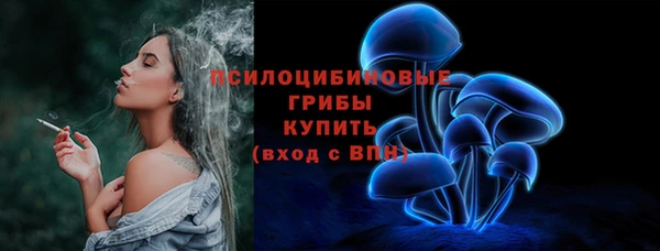 ПСИЛОЦИБИНОВЫЕ ГРИБЫ Алексеевка